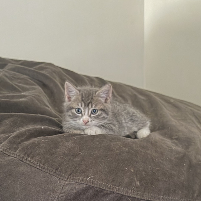 Photo of Emily