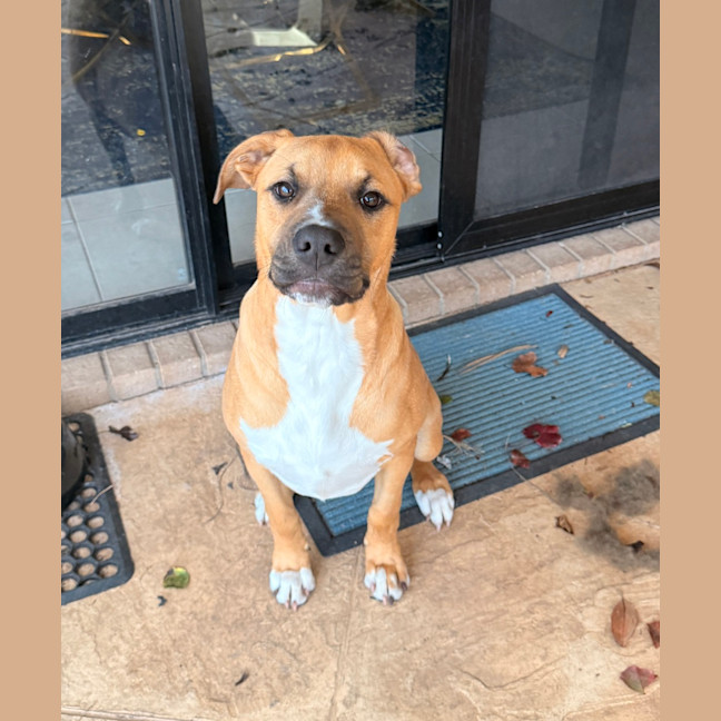 Photo of Cosmo