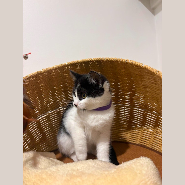 Photo of Faye