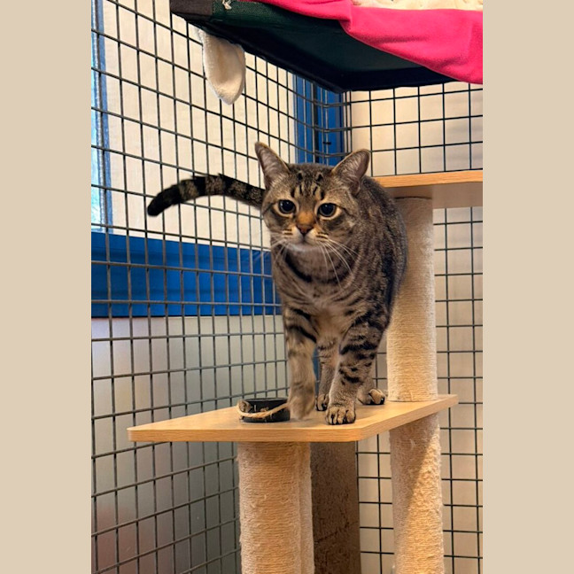 Photo of Charlie