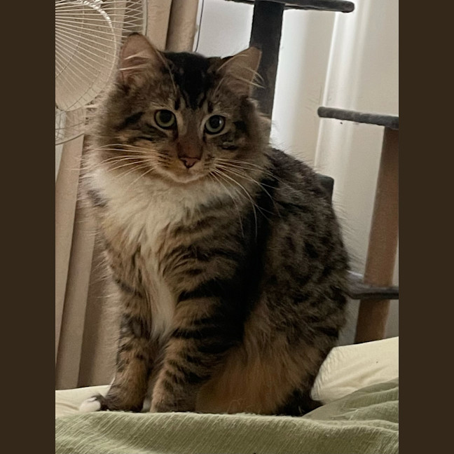 Photo of Percy