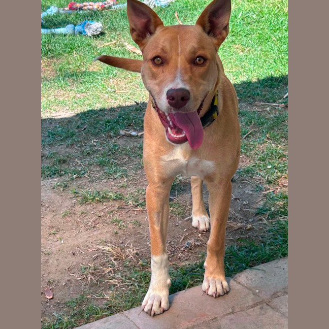 Photo of Zara