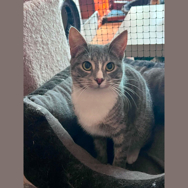 Photo of Alice