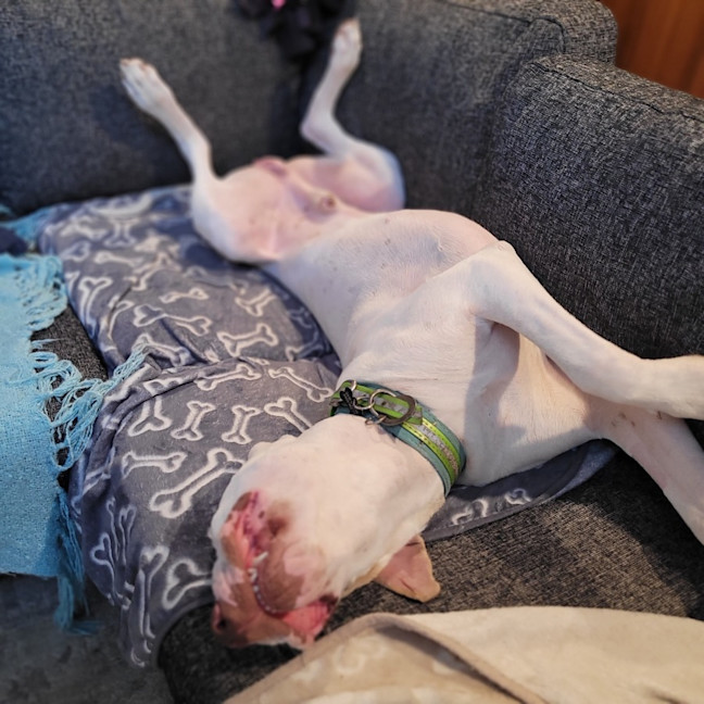 Photo of Mackalicious