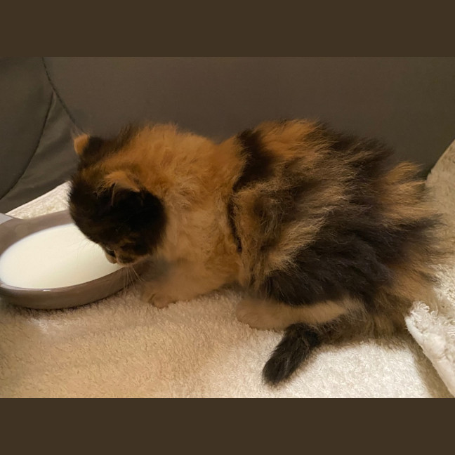 Photo of Hadley Parker