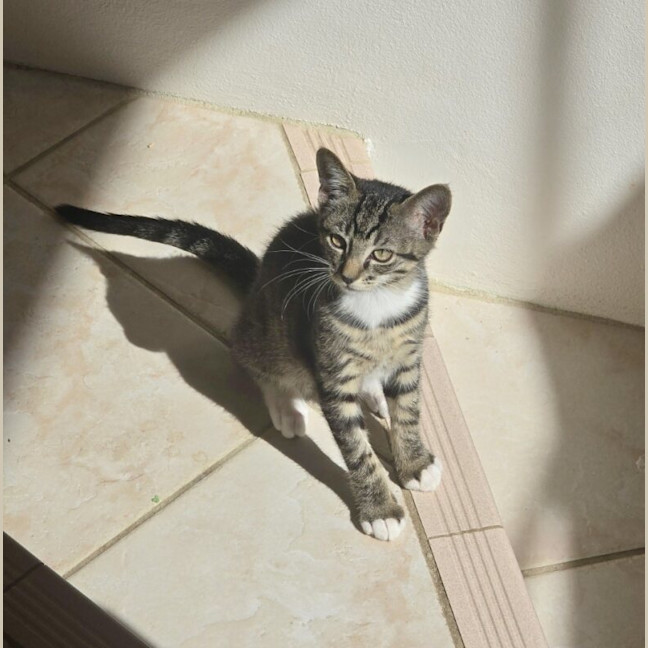 Photo of Jeffrey