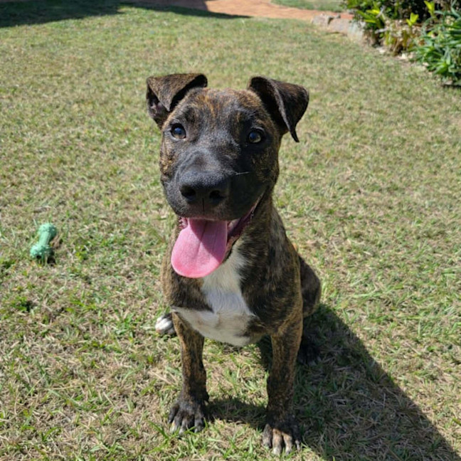 Photo of Max