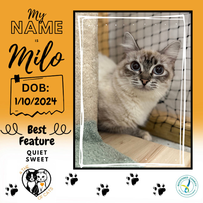 Photo of Milo