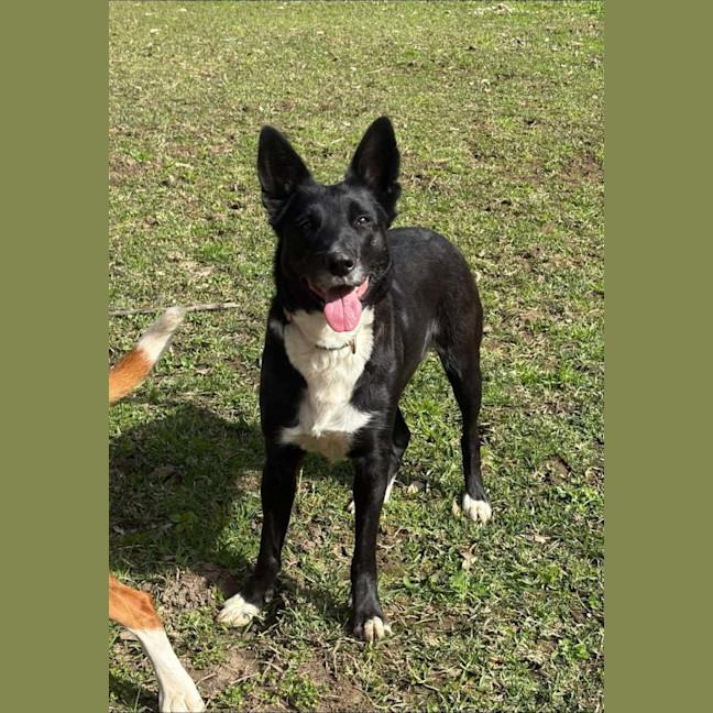 Photo of Luna
