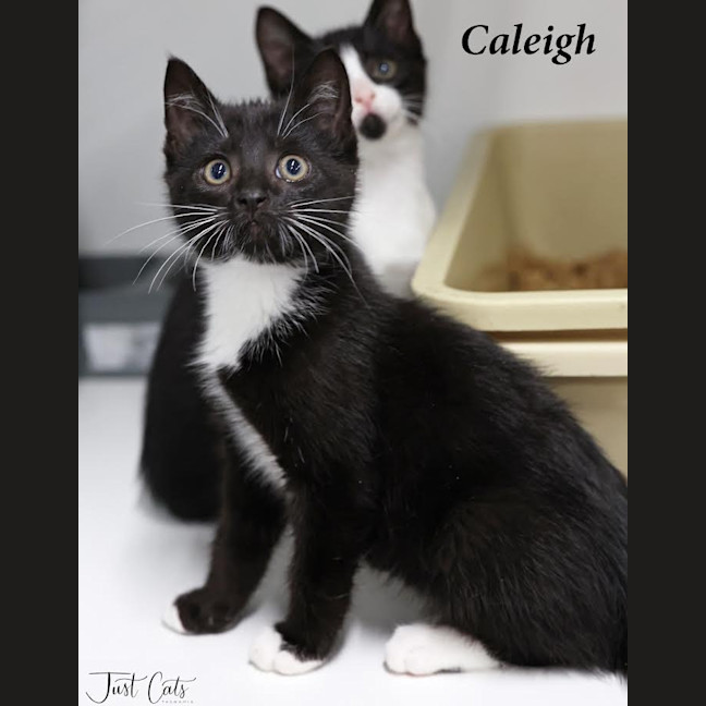 Photo of Caleigh