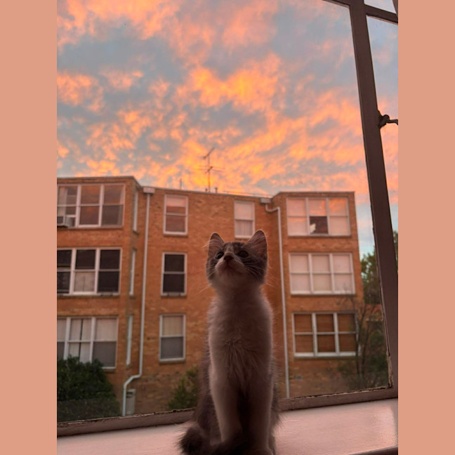 Photo of Louie