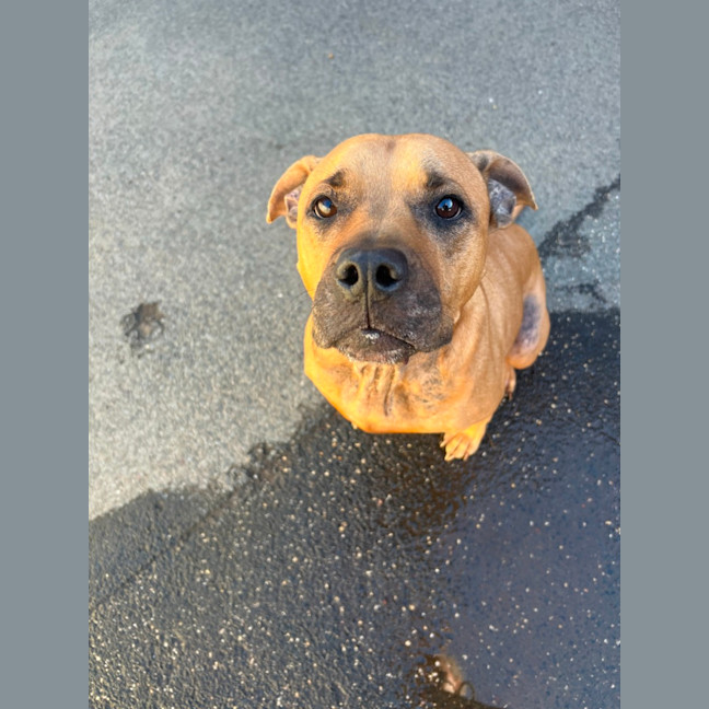 Photo of Dot