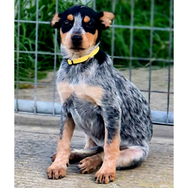 Photo of Wiggle 