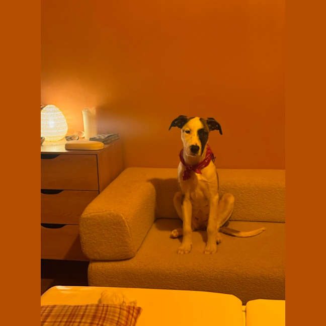Photo of Isla