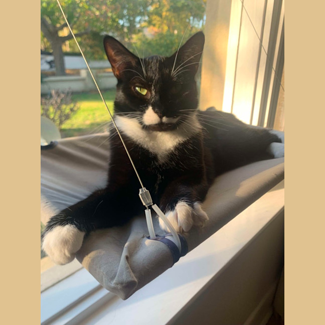 Photo of Blaire & Atlas 