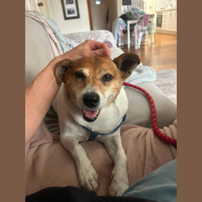 Photo of Max 