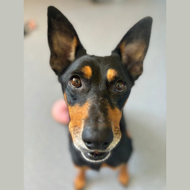 Photo of Sookie