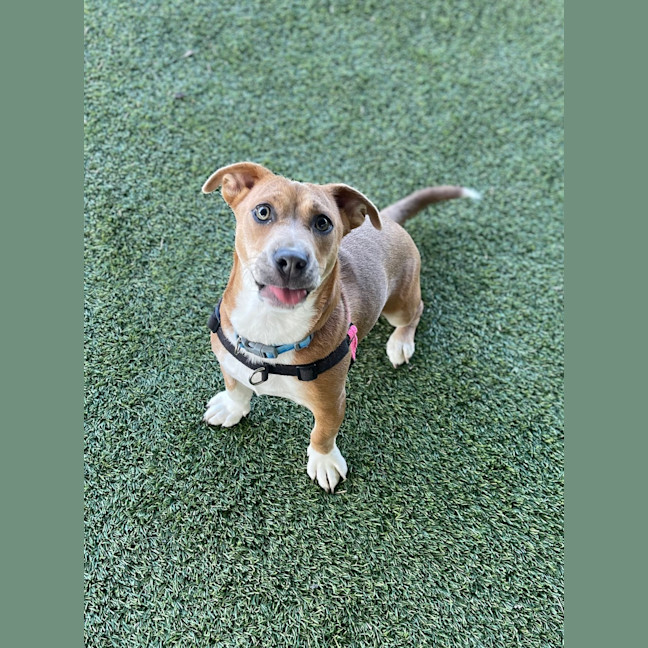 Photo of Lola