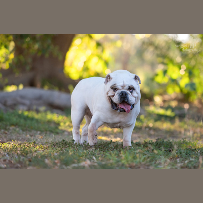 Photo of Bruce