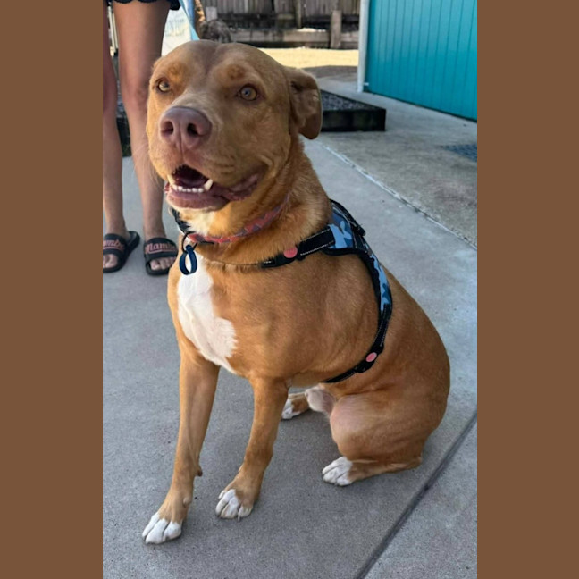 Photo of Monty