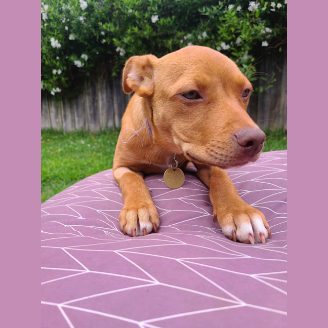 Photo of Mellyjane