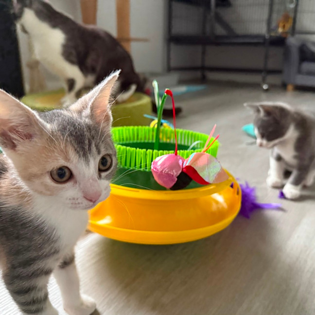 Photo of Georgia 🍒