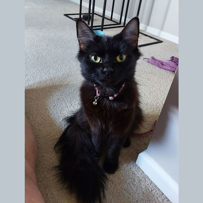 Photo of Milly