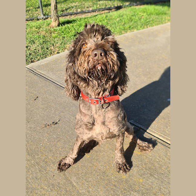 Photo of Rocket