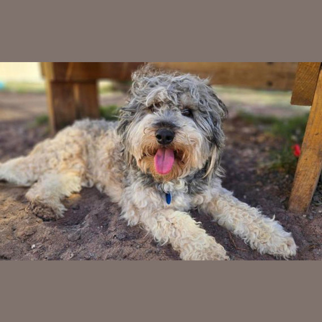 Photo of Bertie