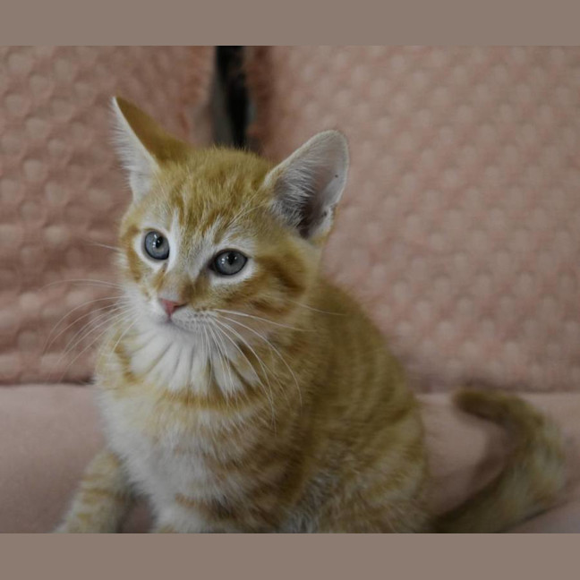 Photo of Kristoff