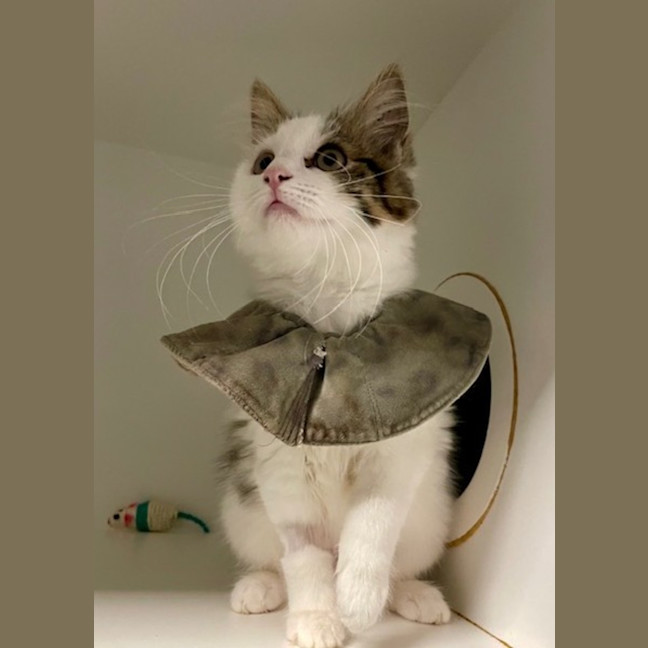 Photo of India & China