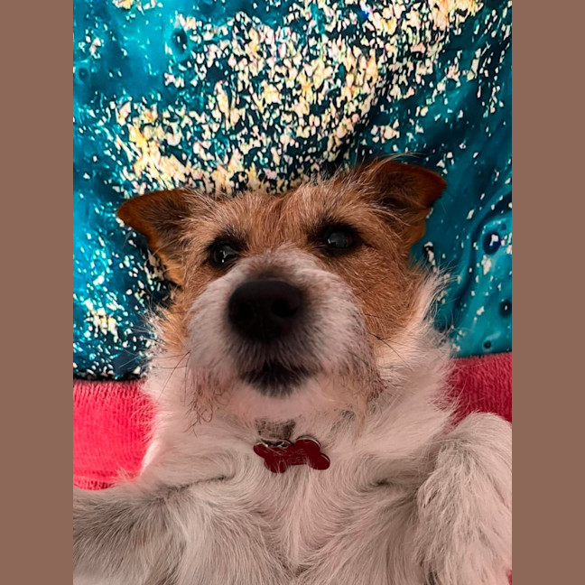 Photo of Aero