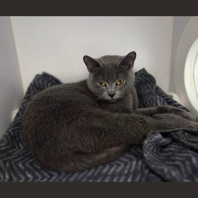 Photo of Stormi