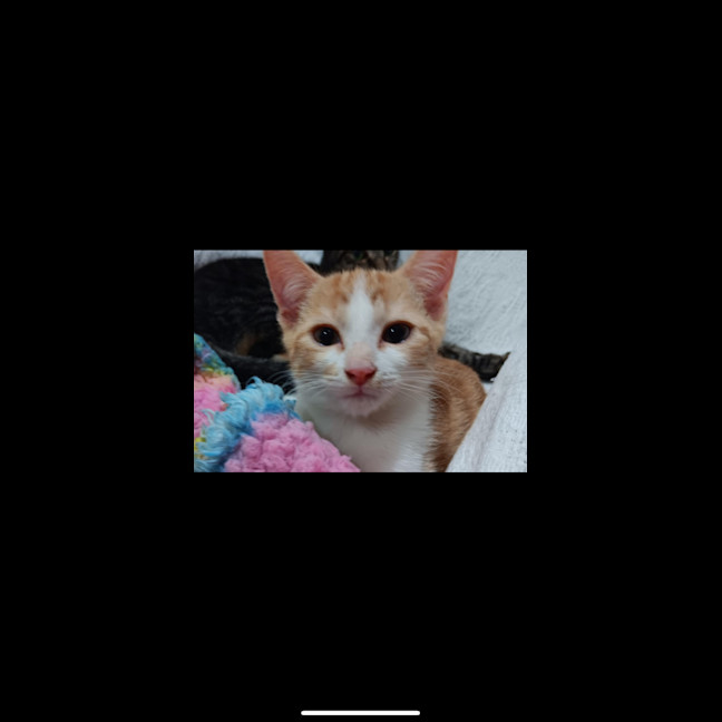 Photo of Karamel