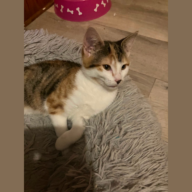 Photo of Amelia