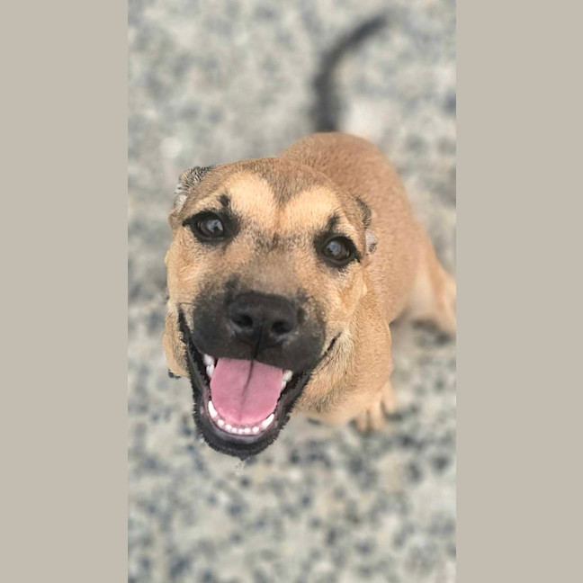 Photo of Laylei