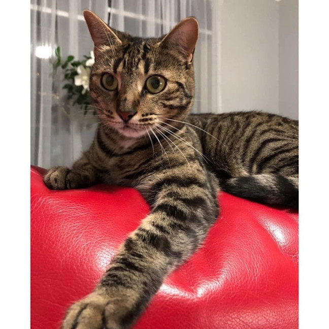 Photo of 6180   Zoya