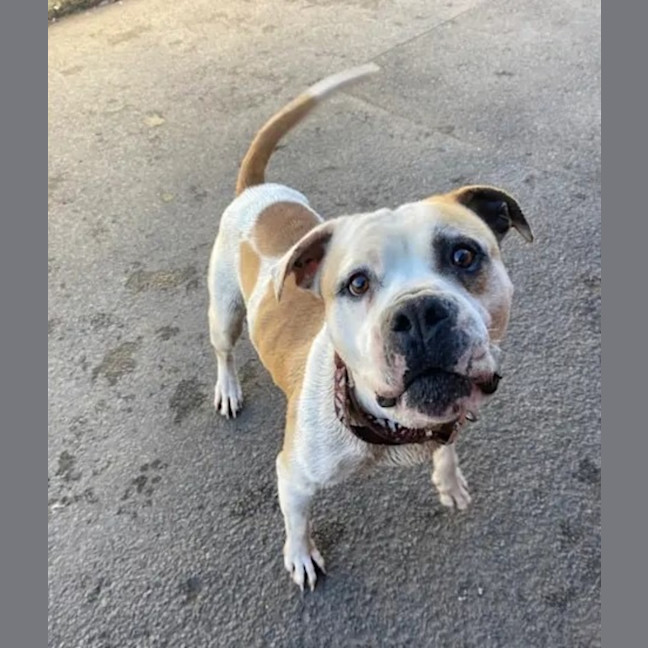 Photo of Buddy Xenos