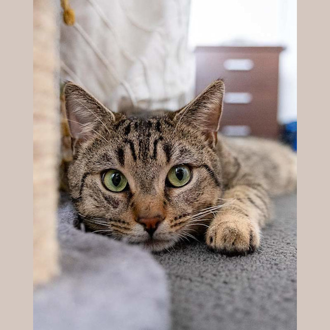 Photo of Oliver
