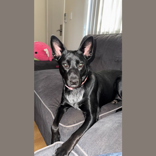 Photo of Felice (Astrid)