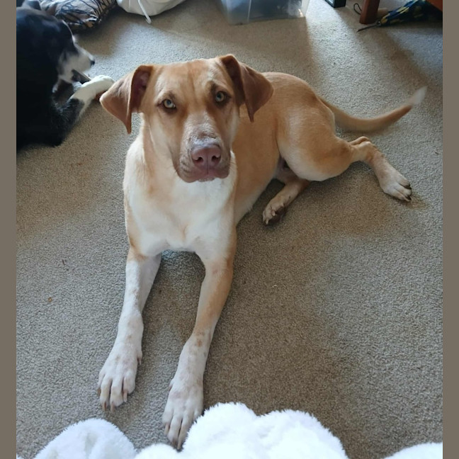Photo of Missy 