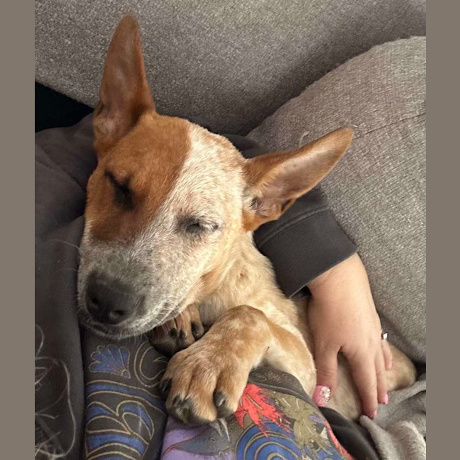 Photo of Pumpkin