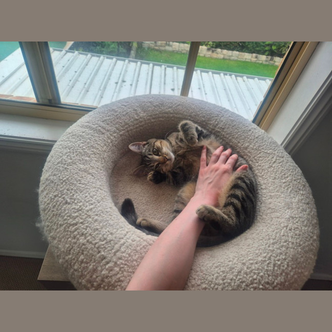 Photo of Tabitha