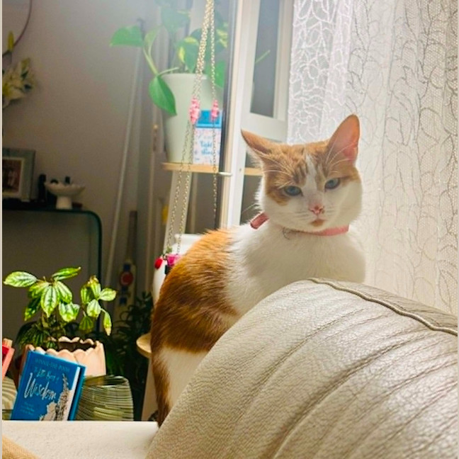 Photo of Miss Cashew Nutz