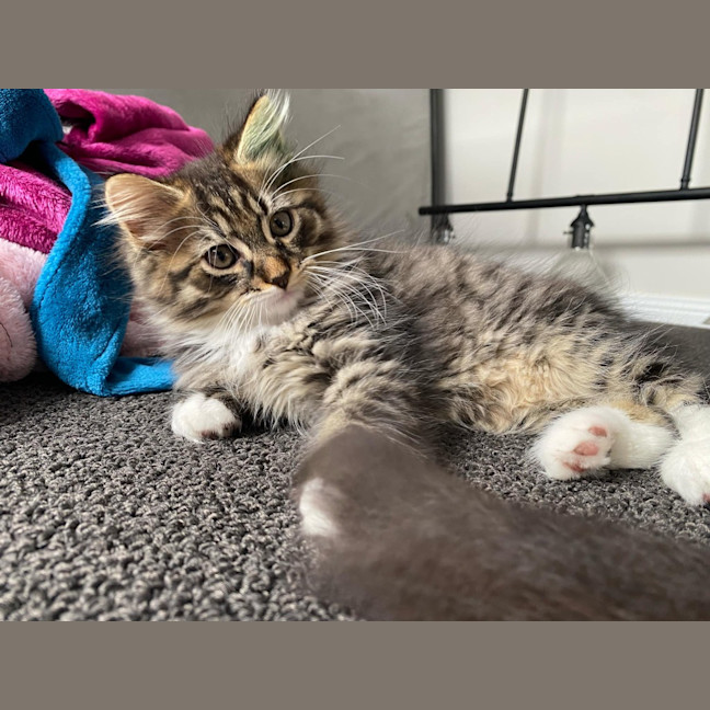 Photo of Leo