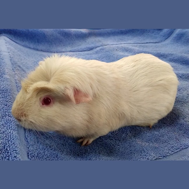Photo of Ted