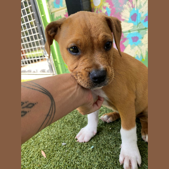 Photo of D1093 Finlay