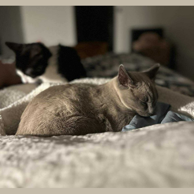 Photo of Jazzi 