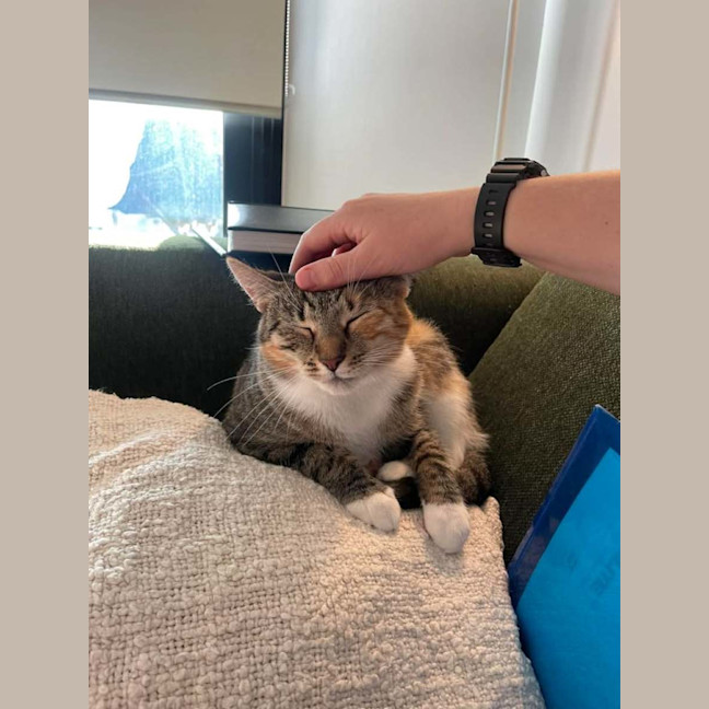 Photo of Milkshake (Empty The Nest $50 Special Easter)