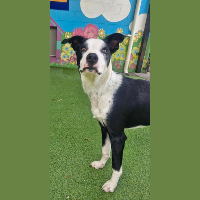 Photo of D1210 Salty